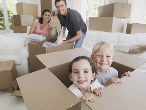 Commercial moving team planning a business relocation in Sydenham