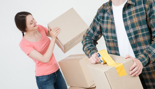 Selection of sturdy cartons, tape, and wrapping materials for packing in Sydenham