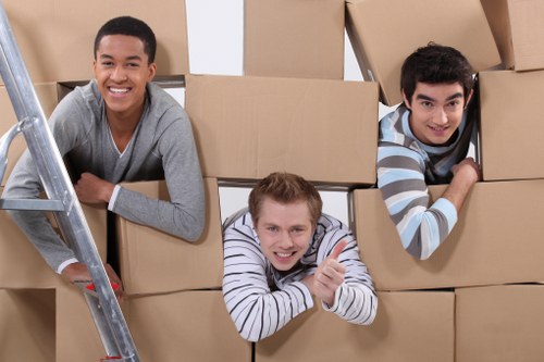 Furniture removal team handling access challenges in Sydenham