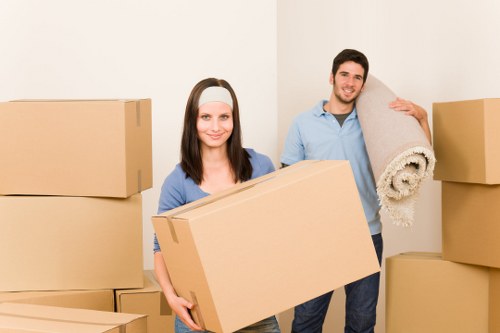 Careful transport of household items by Man And Van Sydenham