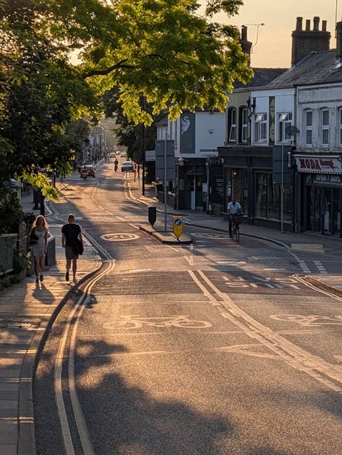 A street view in Sydenham with a pedestrian crossing and a few people walking on the pavement. The scene is bathed in warm, golden sunlight suggesting late afternoon or early evening. A large leafy tree shades part of the street, casting shadows on the road. On the right, there are terraced shops and houses with some windows and signage visible. A cyclist is riding along the street, and a car can be seen approaching further down the road. The street features road markings including a cycle lane, and street furniture such as a black bollard and a yellow and black post are present. This image captures a typical urban environment suitable for house removals or relocation services, with elements like vehicle access points and pedestrian pathways aligning with moving logistics. Occasionally, Man and Van Sydenham relies on such areas for efficient furniture transport and loading during home relocation activities.