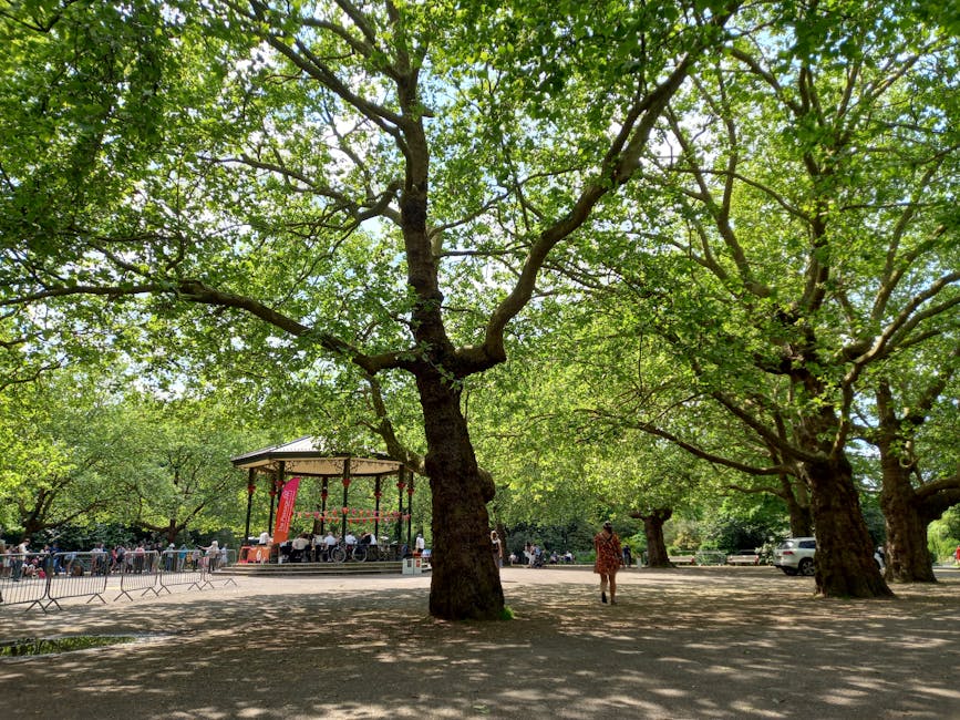 A wide view of Wells Park near Mayow Park in Sydenham during daytime, featuring large mature trees with broad green leaves providing shade over the open, paved area. In the background, there is a musi