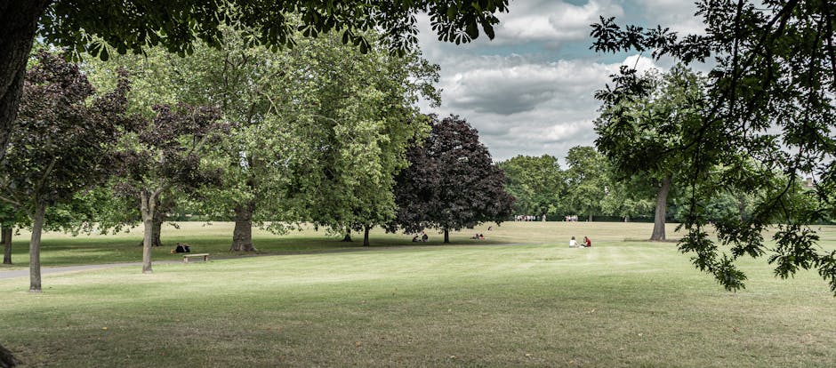 An outdoor scene of a public park with a large, open grassy area bordered by a variety of mature trees with green and dark purple foliage. Several people are visible sitting on benches and on the grass, some under the shade of the trees. The sky is partly cloudy with patches of sunlight illuminating the ground. In the background, additional trees and park visitors can be seen, creating a peaceful and spacious environment suitable for relaxation or casual outdoor activities. The image captures the natural setting typical of residential relocations in the SE26 area, where careful furniture transport and packing are essential for home moves, as managed by Man and Van Sydenham.